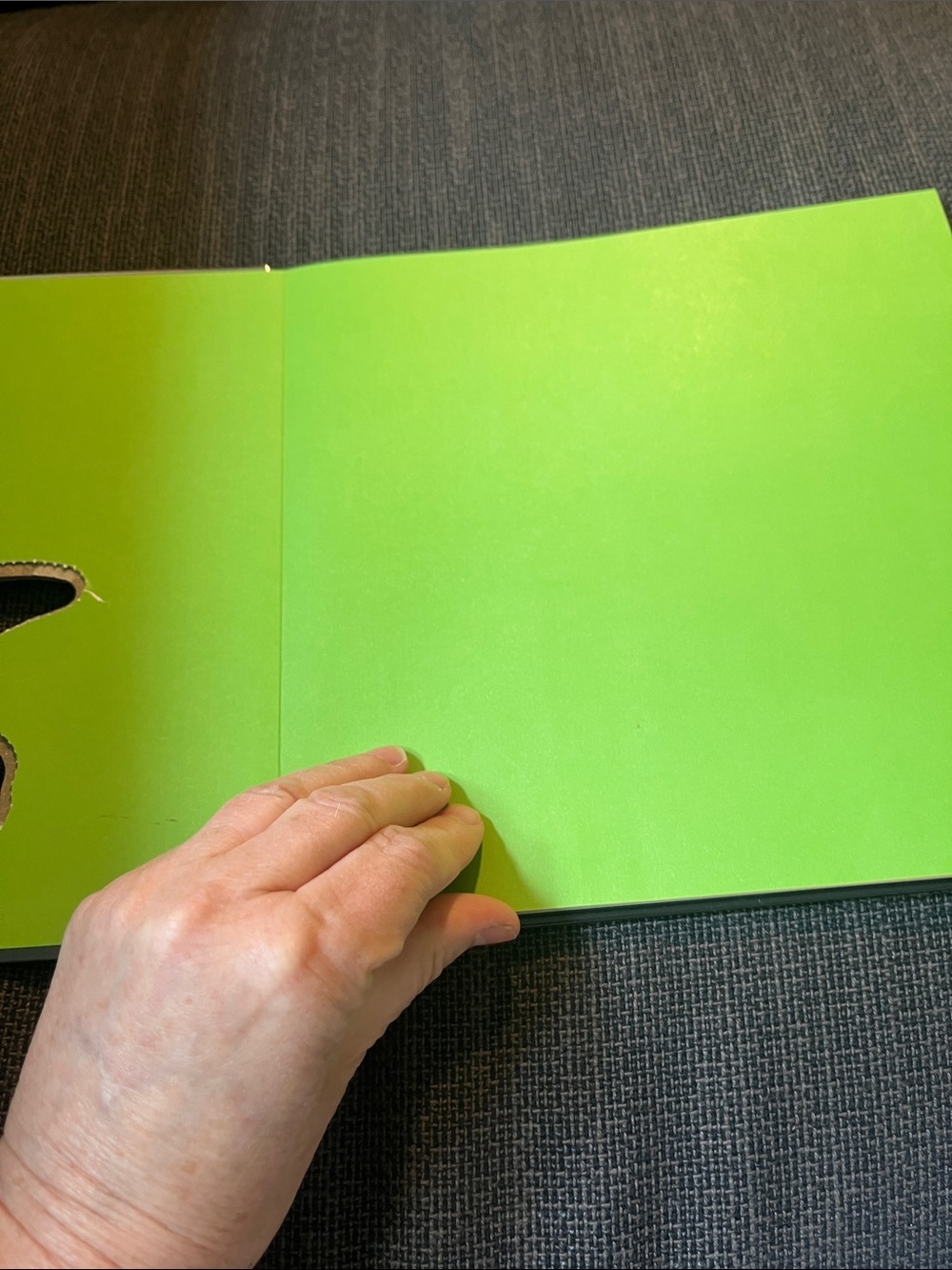 Scholastic Dinosaur Face Off! Book action packed with photos on every page - Picture 4 of 12